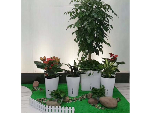 Чչʾ